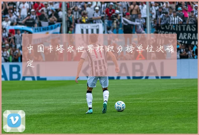 中国卡塔尔世界杯积分榜单位次确定
