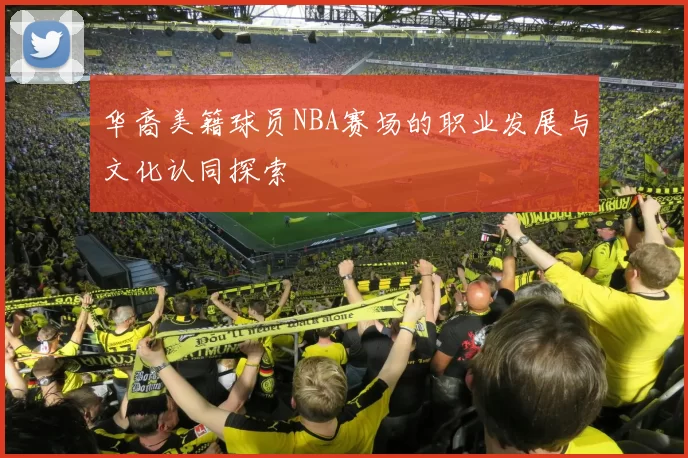 华裔美籍球员NBA赛场的职业发展与文化认同探索