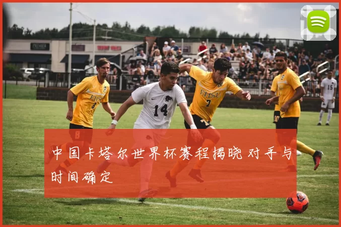 中国卡塔尔世界杯赛程揭晓 对手与时间确定