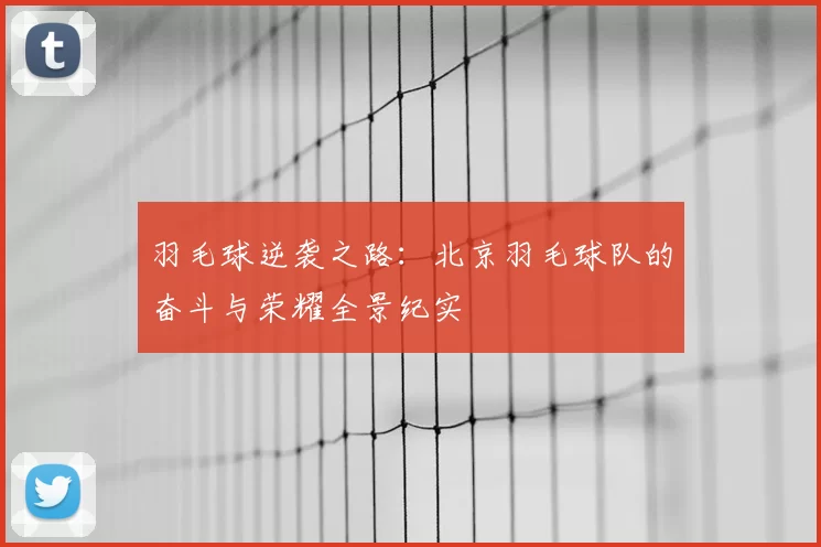 羽毛球逆袭之路:北京羽毛球队的奋斗与荣耀全景纪实