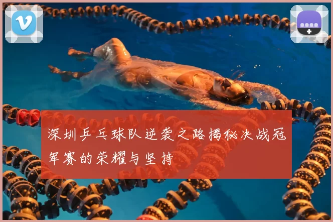 深圳乒乓球队逆袭之路揭秘决战冠军赛的荣耀与坚持