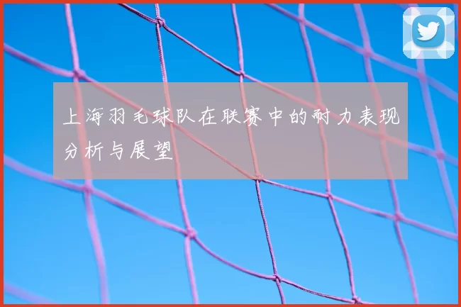 上海羽毛球队在联赛中的耐力表现分析与展望