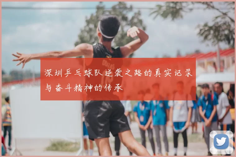 深圳乒乓球队逆袭之路的真实记录与奋斗精神的传承
