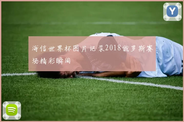 海信世界杯图片记录2018俄罗斯赛场精彩瞬间