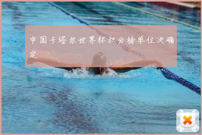 中国卡塔尔世界杯积分榜单位次确定