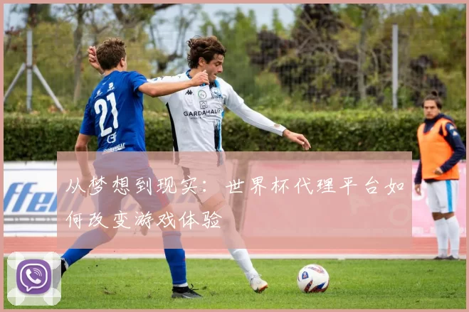 从梦想到现实：世界杯代理平台如何改变游戏体验
