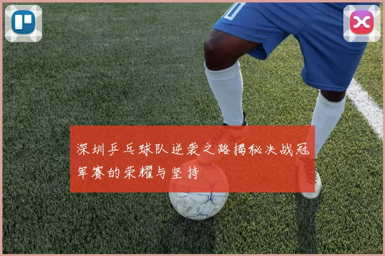 深圳乒乓球队逆袭之路揭秘决战冠军赛的荣耀与坚持