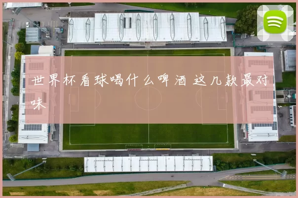 世界杯看球喝什么啤酒 这几款最对味